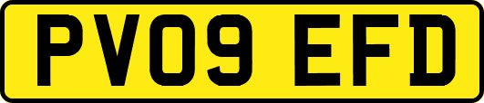 PV09EFD
