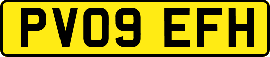 PV09EFH