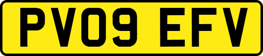 PV09EFV