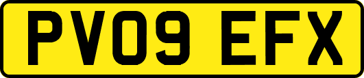 PV09EFX
