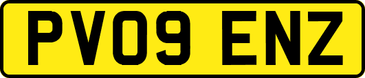 PV09ENZ