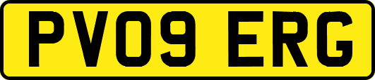 PV09ERG
