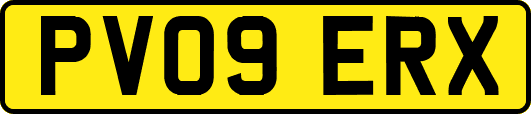 PV09ERX
