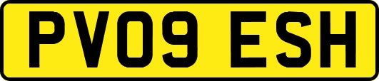 PV09ESH
