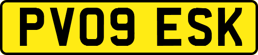 PV09ESK