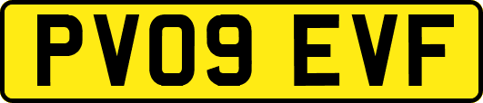 PV09EVF
