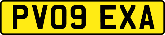 PV09EXA