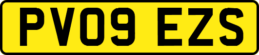 PV09EZS