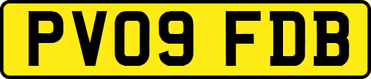 PV09FDB