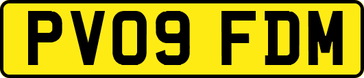 PV09FDM