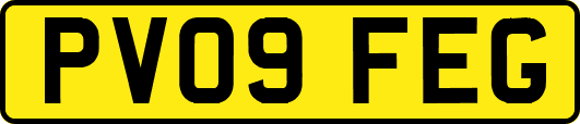 PV09FEG