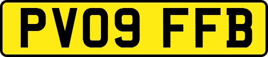 PV09FFB
