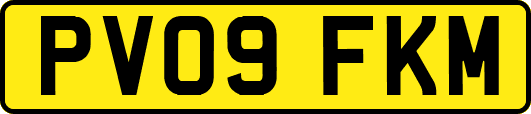 PV09FKM