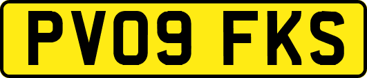 PV09FKS