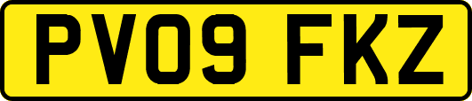 PV09FKZ