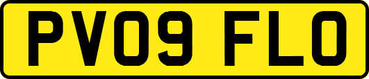 PV09FLO