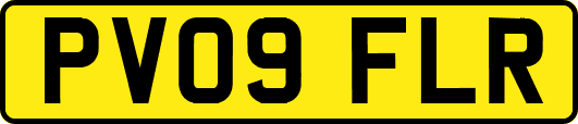 PV09FLR
