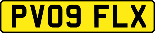 PV09FLX