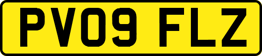 PV09FLZ