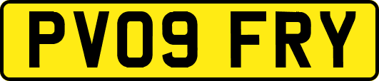 PV09FRY