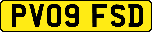PV09FSD