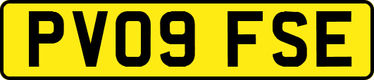 PV09FSE
