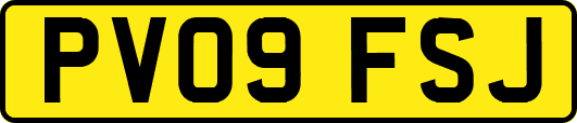 PV09FSJ