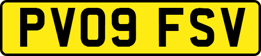 PV09FSV