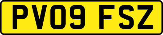 PV09FSZ