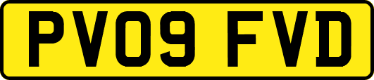 PV09FVD