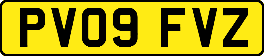 PV09FVZ
