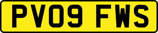 PV09FWS