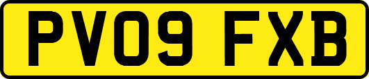 PV09FXB