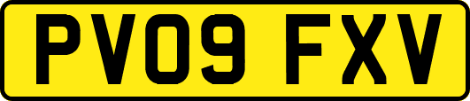 PV09FXV