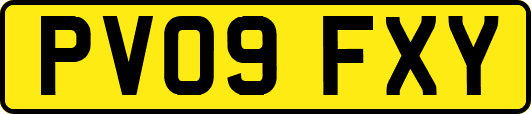 PV09FXY