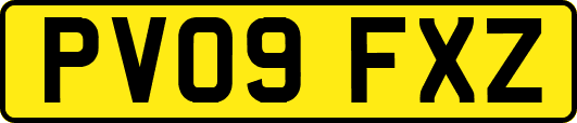 PV09FXZ