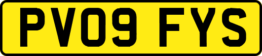 PV09FYS