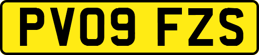 PV09FZS