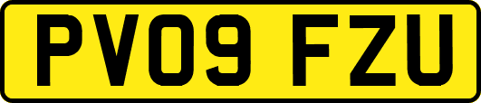 PV09FZU