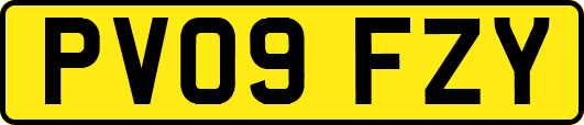 PV09FZY
