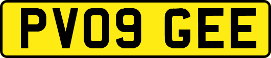 PV09GEE