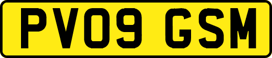 PV09GSM