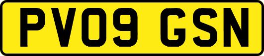 PV09GSN