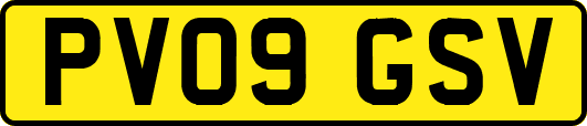 PV09GSV