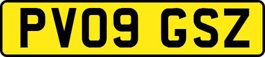PV09GSZ