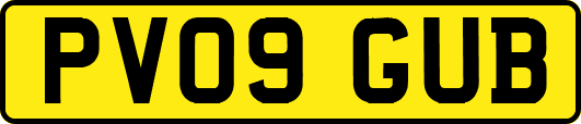 PV09GUB