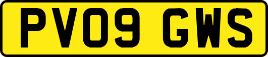PV09GWS