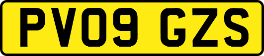 PV09GZS