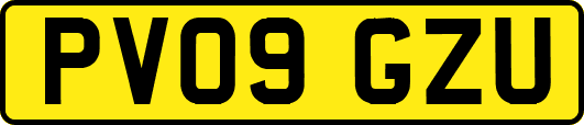PV09GZU