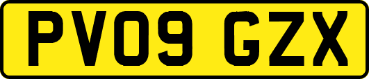 PV09GZX